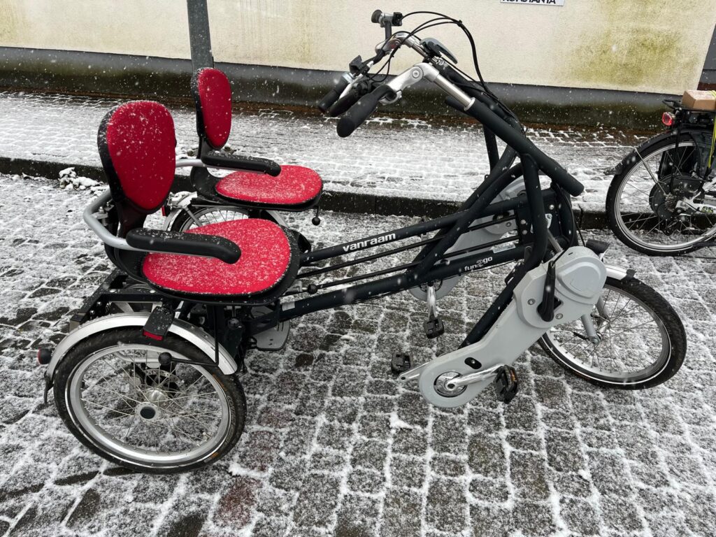 Riksza dwuosobowa ma trzy koła. Z tyłu są dwa koła, z przodu jest jedno koło. Z tyłu ma dwa siedzenia obok siebie. Każda osoba siedząca ma pedały i kierownicę.